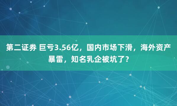 第二证券 巨亏3.56亿，国内市场下滑，海外资产暴雷，知名乳企被坑了？