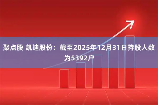 聚点股 凯迪股份：截至2025年12月31日持股人数为5392户